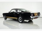 Thumbnail Photo 6 for 1966 Shelby GT350